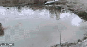 aOyg9ME_460sa.gif : 안댕 쥬인님!!.gif