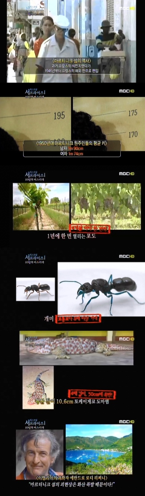 s2.jpg