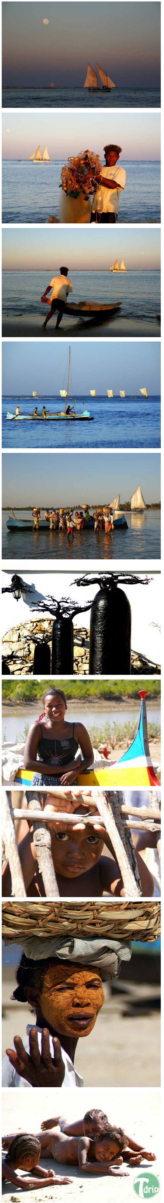d0136392_4f55879ebfa64.png : 태양의 땅 아프리카.jpg