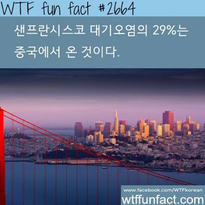 10505379_1502103366674510_2681702031173049875_n.jpg