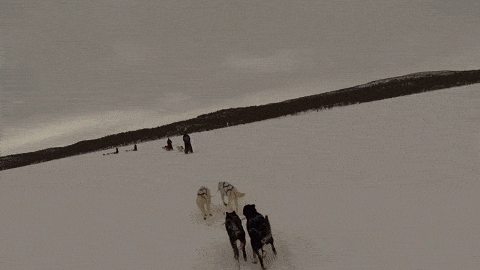 67d6f708dd4ef9c47e72818aa32519d5.gif