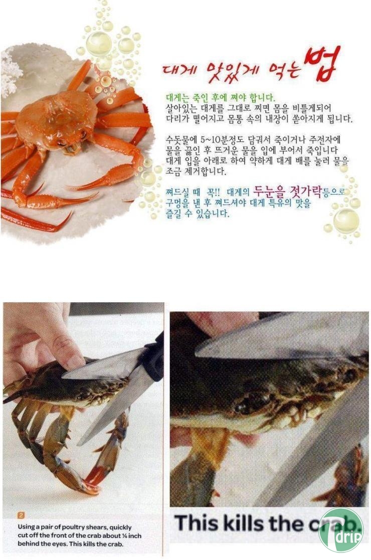 7c00cda08d2cbb786d39ffb92afae1fb.jpg : 알이 꽉...찬 대게.jpg