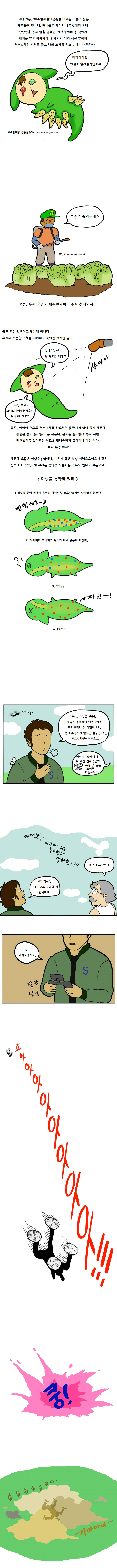 배추흰나비-4.jpg