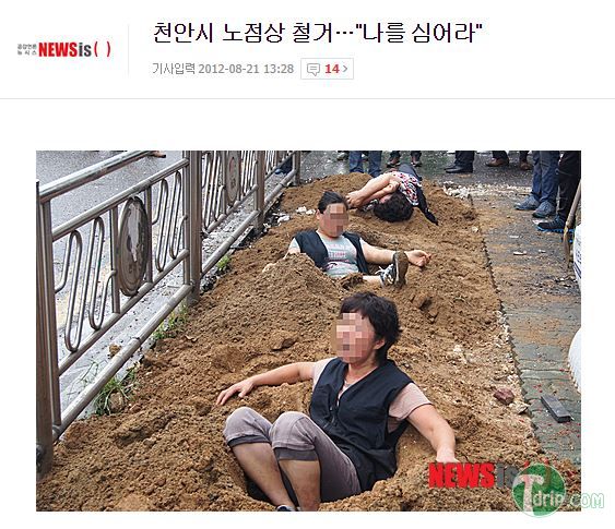 3718091934_8291960d.jpg : 맨드레이크