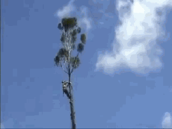 e7859623d9088736090c1dfb77b7ff68.gif