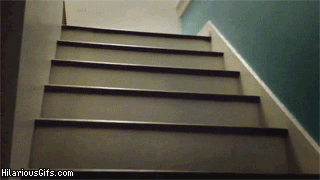 8ae1f9393eaa8902ff33db99cba1b4e1.gif