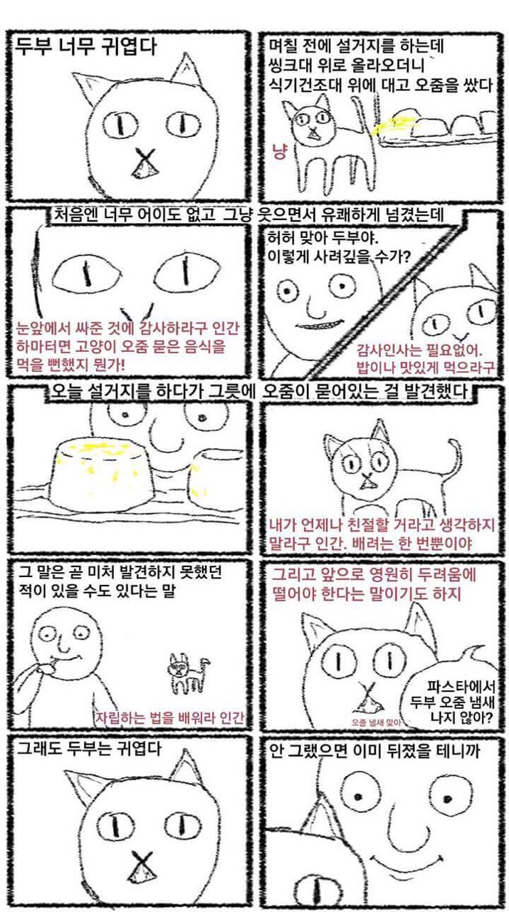 image.jpeg : 두부 귀엽다