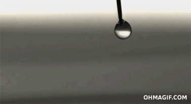 a804d4a49f9912489753977f3c4bc36c.gif