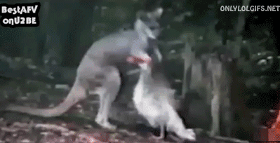 e8d3e73f1efe7199bfe242382783d0be.gif