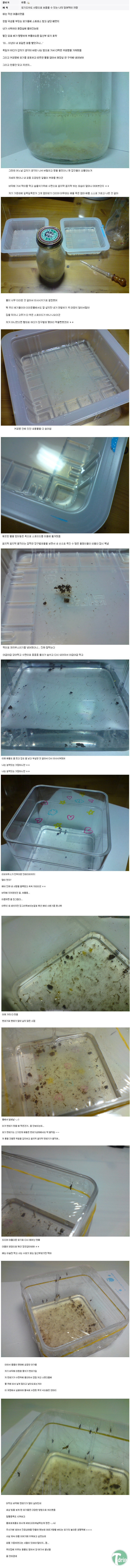 1 (6).jpg : 디시인의 모기키우기.jpg