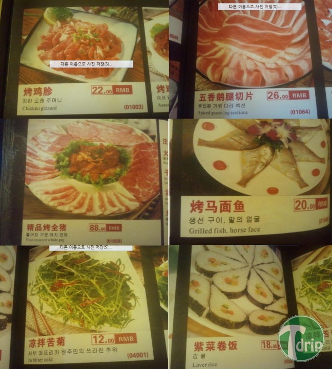 d0136392_4fc1a927058fd.jpg : 대륙의 발번역.jpg