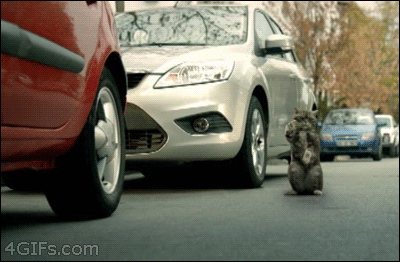 829e8b3a25b93e2f3017cc6e97ac70a9.gif