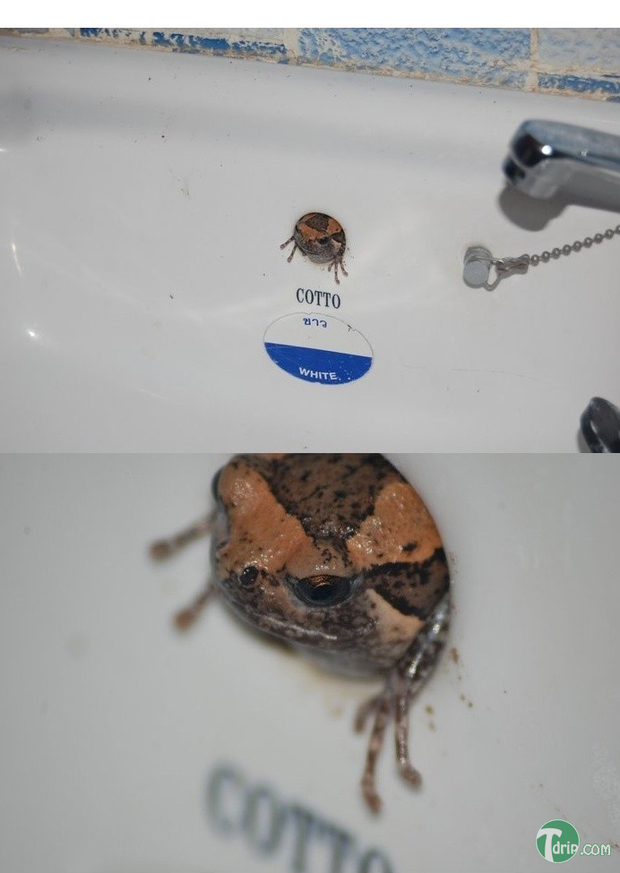 제목 없음.png