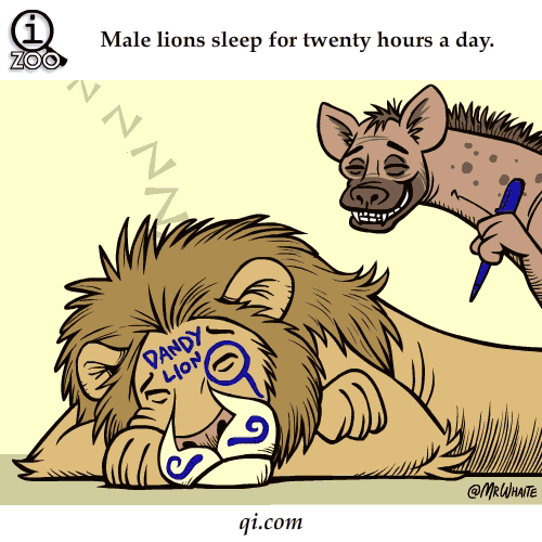 12.gif