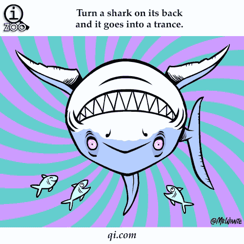5.gif