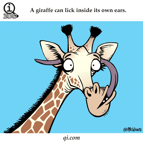14.gif