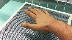 02.gif