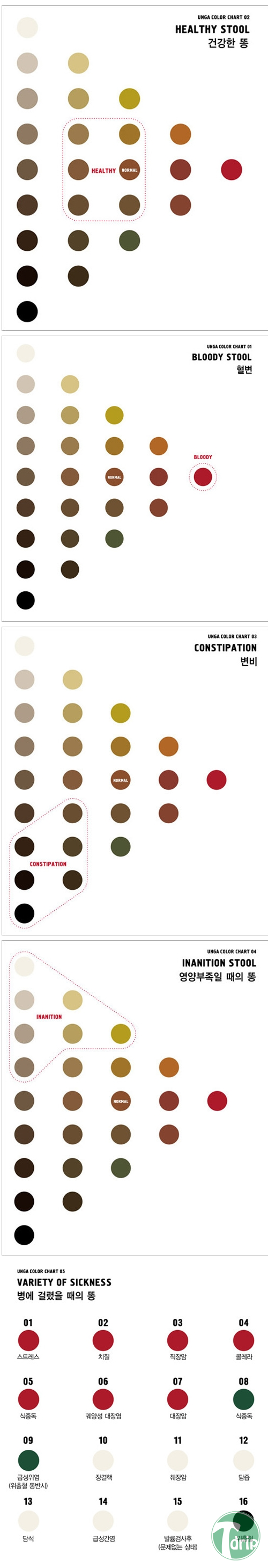123.jpg : 똥 색깔로 보는 건강.jpg