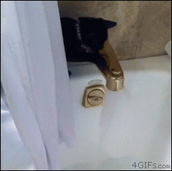53d8e8322179d547074b1f77bf7fdf48.gif