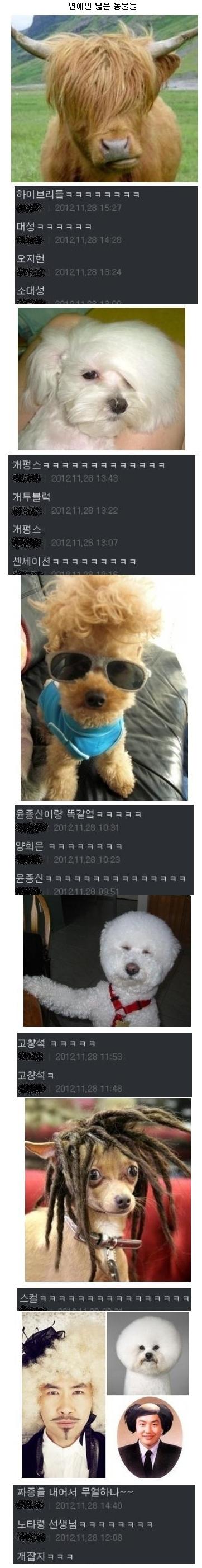 연예인 닮은 동물.jpg