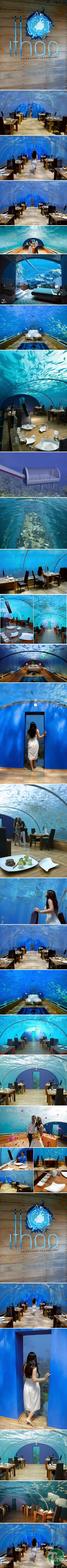 1 (3).jpg : 수중 레스토랑.jpg