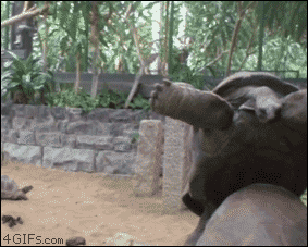 35a8b752f967da009fe19b6982d2d0ae.gif