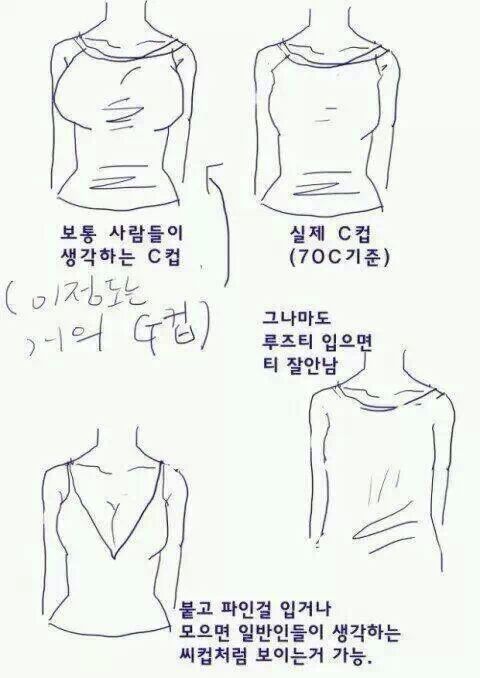 개드립 - 많은 남자들이 착각하는 c컵 크기에 대해 : 152853ba0c3e978fe0269d8b6c357dbb.jpg 2.jpg