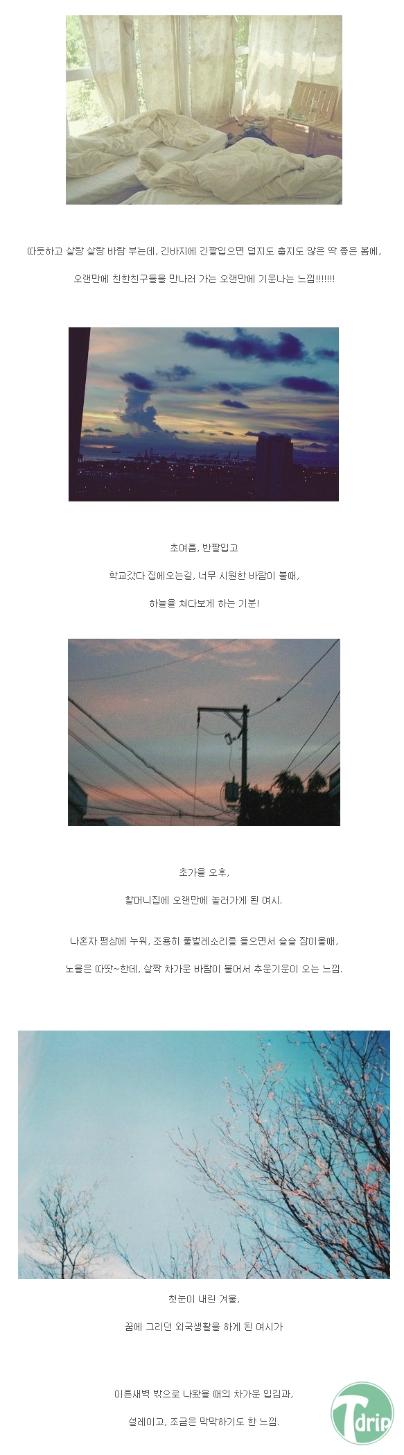 1 (10).jpg : 이 중에서 당신의 선택은?.jpg