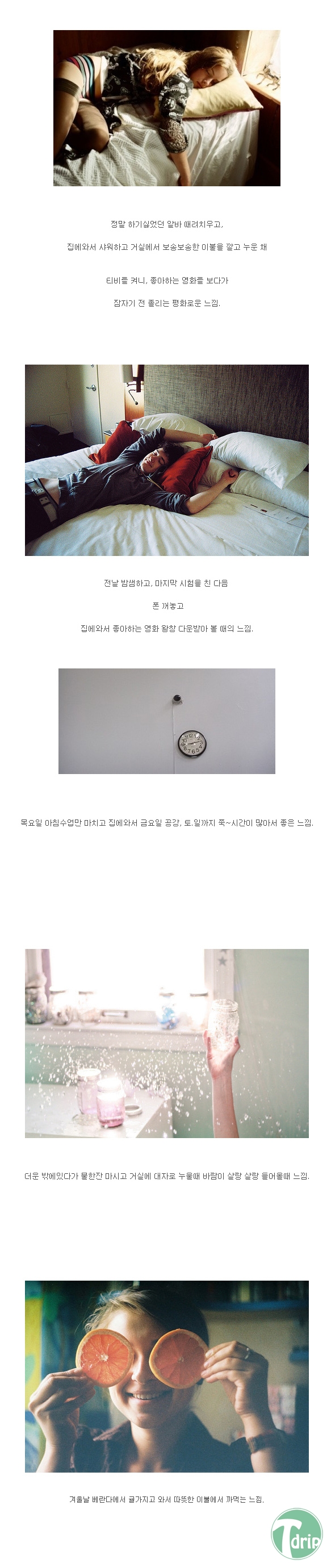 2 (6).JPG : 이 중에서 당신의 선택은?.jpg