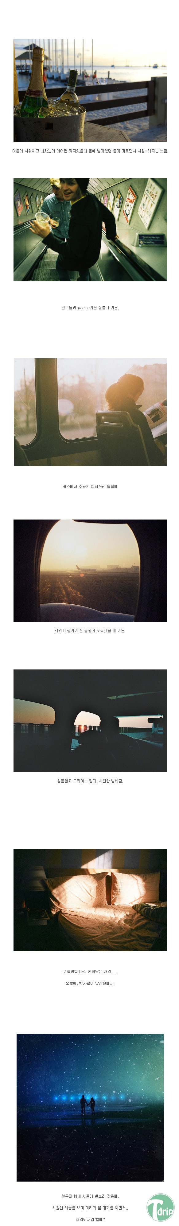 3 (4).jpg : 이 중에서 당신의 선택은?.jpg