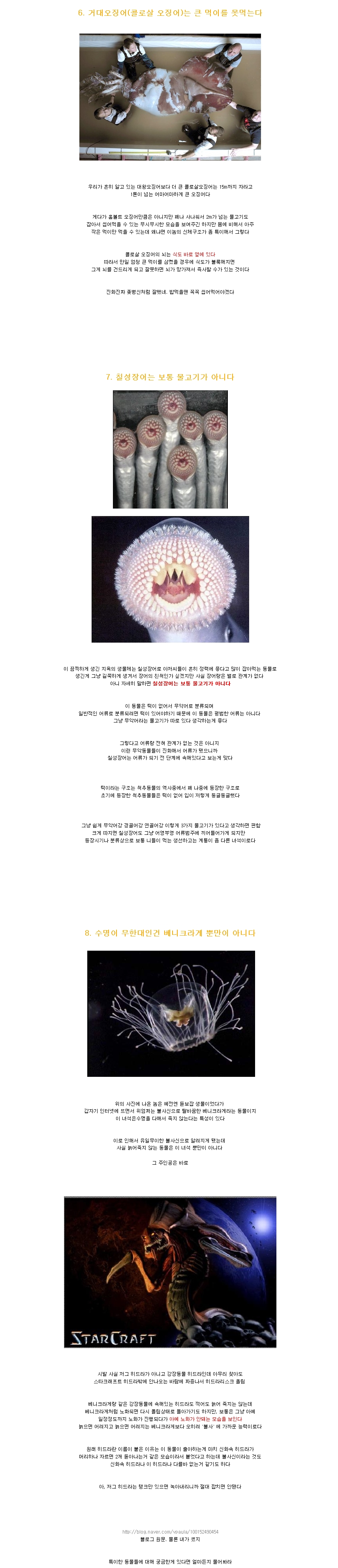 동물에 관한 특별한 정보들2.jpg