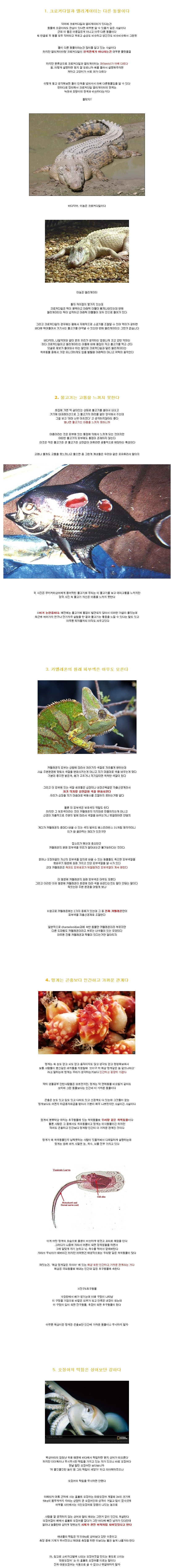 동물에 관한 특별한 정보들.jpg