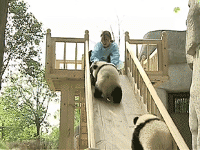 1265179220_8260088f_20.jpg : 으어엉 밀지마아~.gif