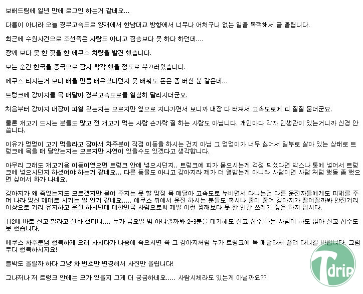 d0136392_4f9251bdb74ee.jpg : 에쿠스에 강아지를 메달고 고속도로 질주.jpg