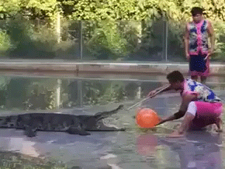 099f6f9087dd2db6d3bc25db0a82d997.gif