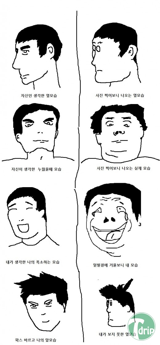 1 (5).jpg : 사진과 현실.jpg
