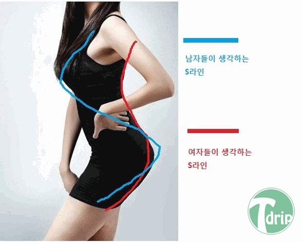 d0136392_4fc7174c0daae.jpg : S라인의 진실.JPG