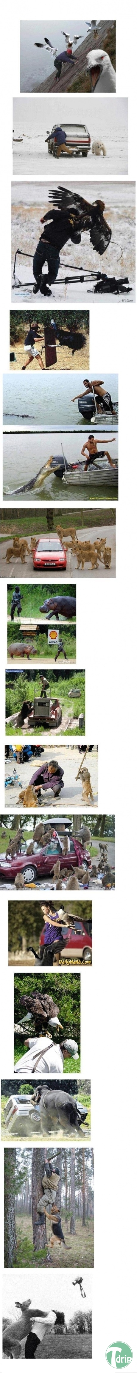 man vs wild.jpg : Man vs wild .jpg