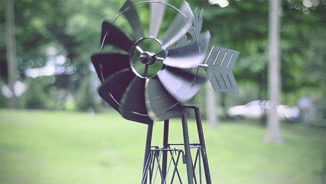 4.gif : 움직이는 사진.jpg