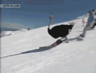 8cd0d32c22ff963ec3d81ae85c77d71e.gif