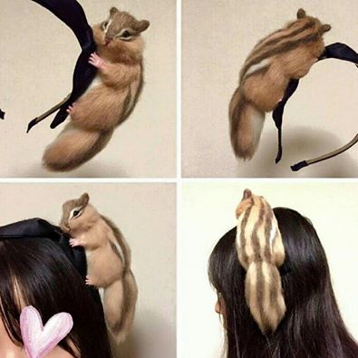 개드립 - 다람쥐 머리띠 : e5315aa9a97b92ec87e59c89cb38c22e.jpg rg.jpg