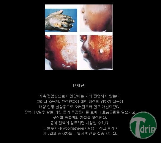 생.jpg