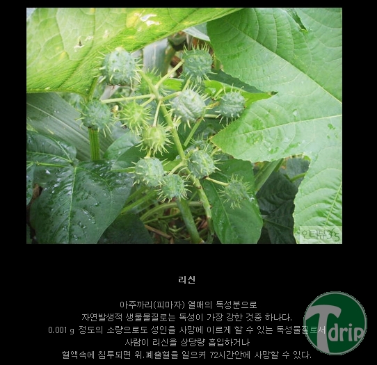 생_3.jpg