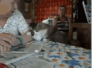 9e7507d4f82ce85623269b0590755e01.gif