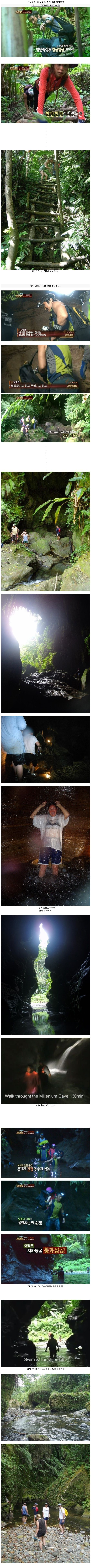 정글 조작의 법칙.jpg
