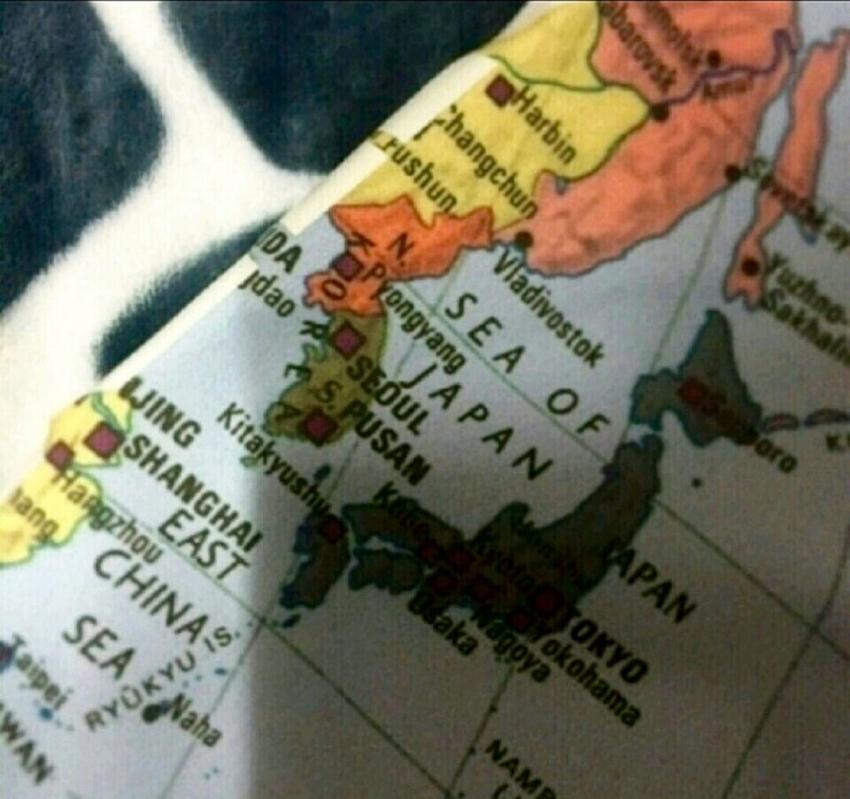 1470565655 (1).jpg : 노스페이스 신상나왔다