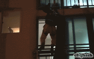 1.gif