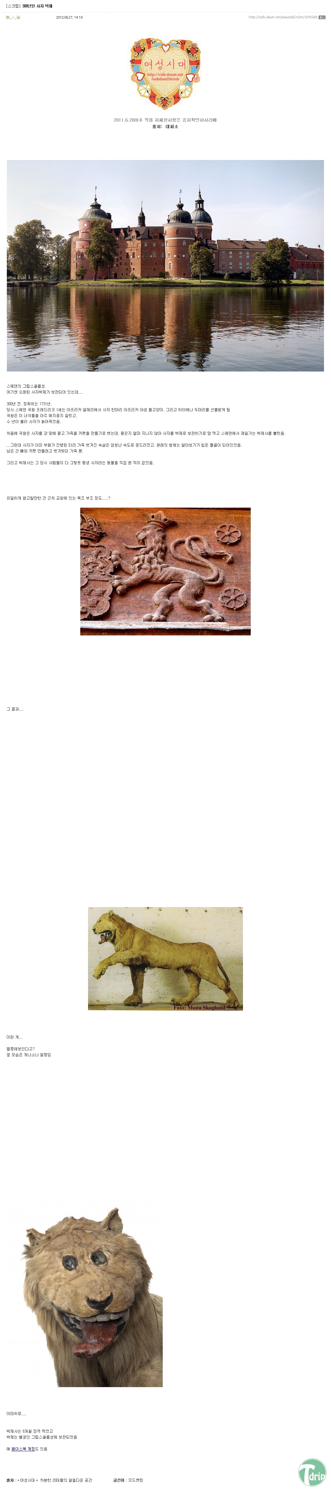 1 (10).jpg : 300년된 사자 박제.jpg