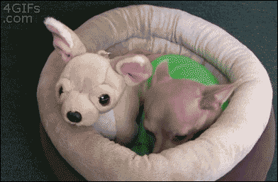 image.gif : 할짝할짝..... !!!