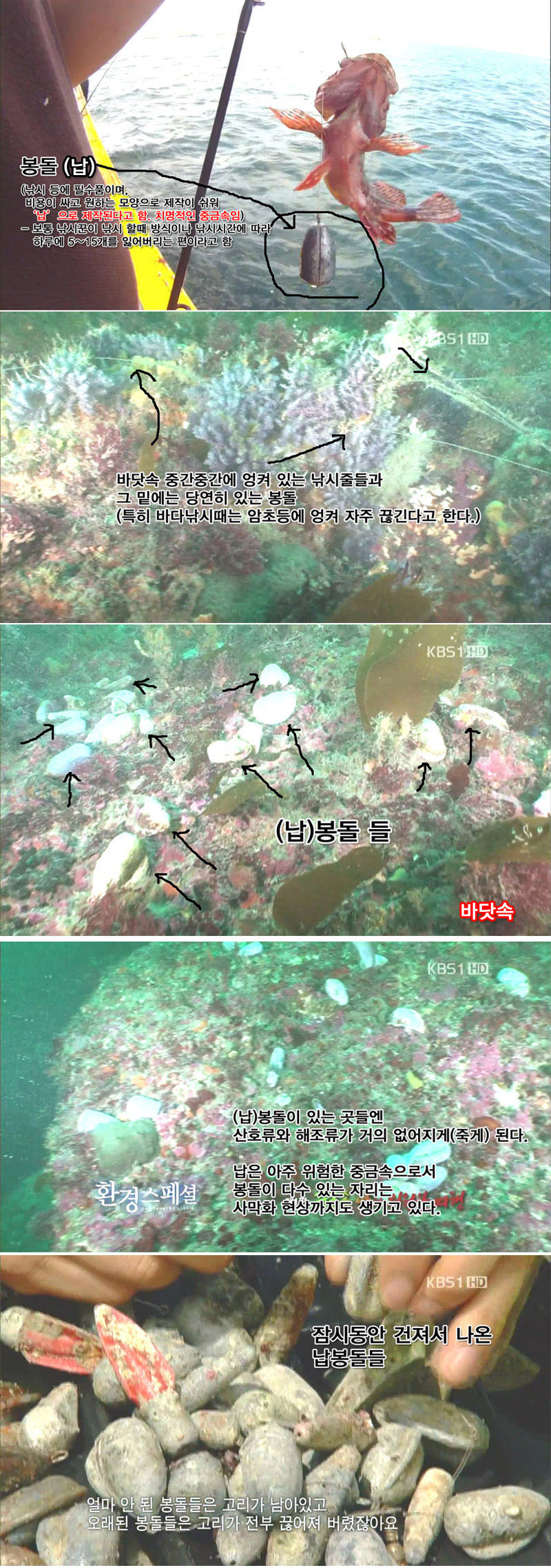 1.jpg : '낚시'가 세상을 조용히 납중독으로 만들고 있다